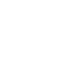 PC Fan